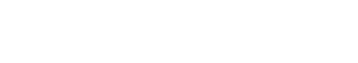 elBRANDguy